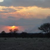  The Serengeti, TZ